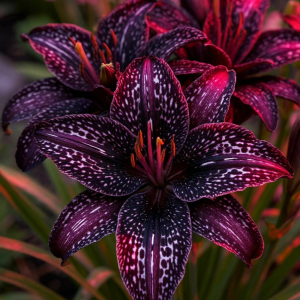 Лилейник Вояж купить по цене от 699р. в интернет-магазине «Посадика» с доставкой почтой в в Сортавалае и по всей России – [изображение №1].